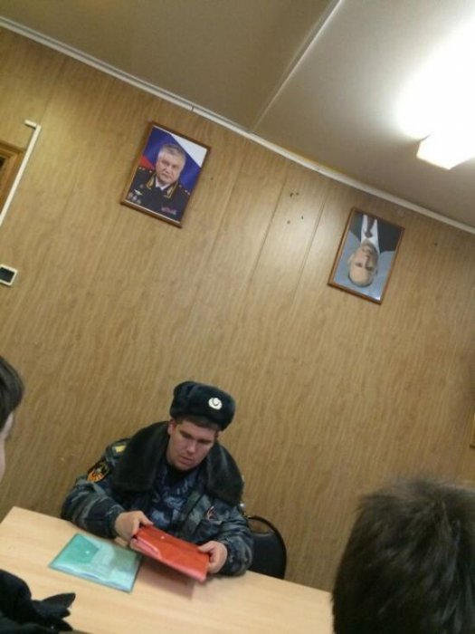 Забавные картинки