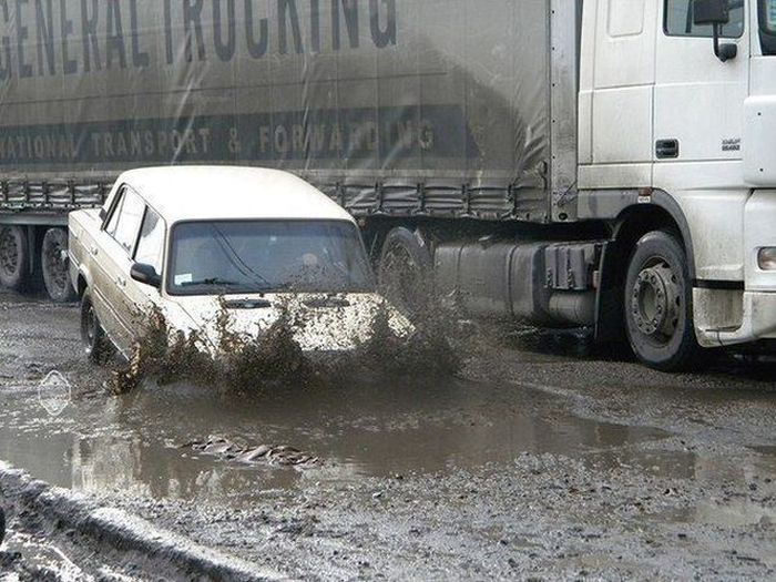 Забавные картинки