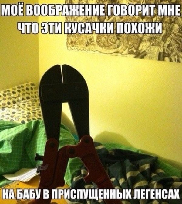Забавные картинки