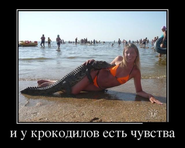 Демотиваторы (30 фото)