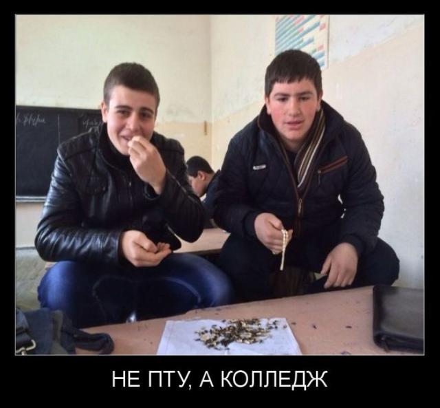 Демотиваторы (30 фото)