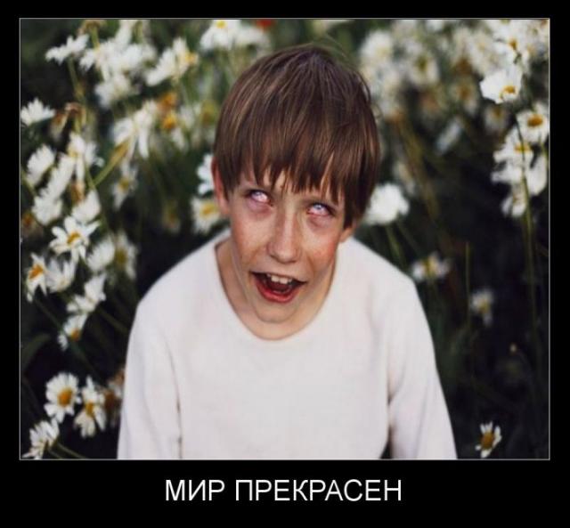 Демотиваторы (30 фото)