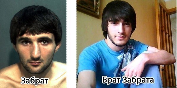 Забавные картинки