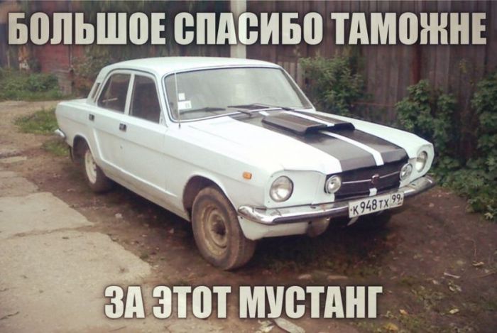 Забавные картинки