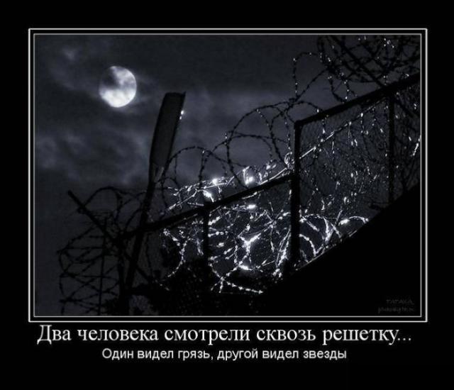 Демотиваторы (30 фото)
