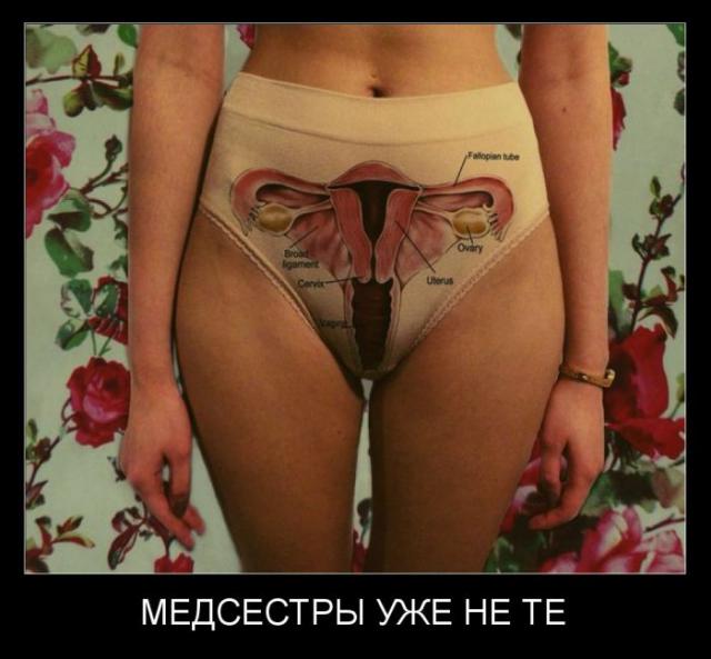 Демотиваторы (30 фото)