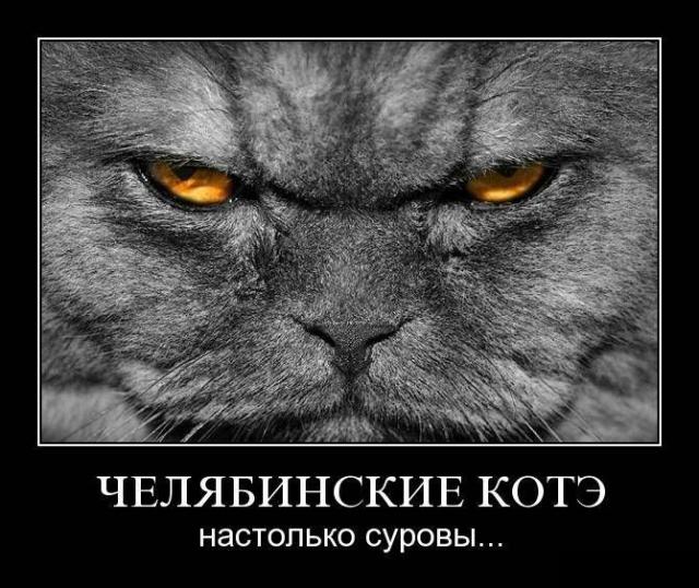 Демотиваторы (30 фото)