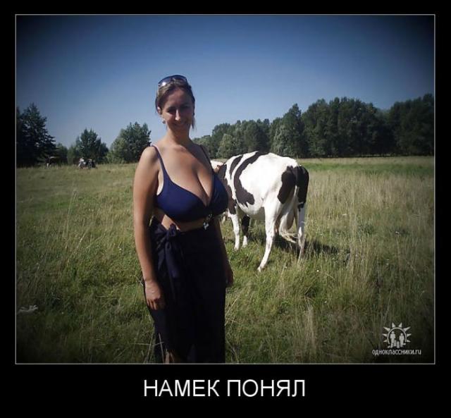 Демотиваторы (30 фото)