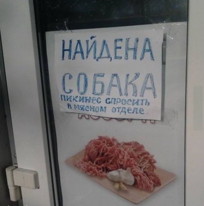 Забавные картинки