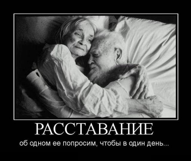 Демотиваторы (30 фото)