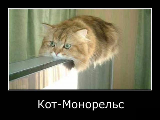 Демотиваторы (30 фото)