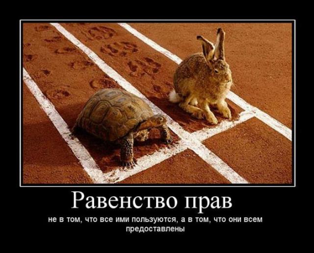 Демотиваторы (30 фото)
