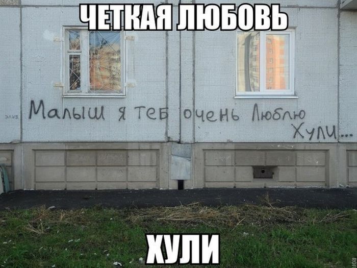 Забавные картинки