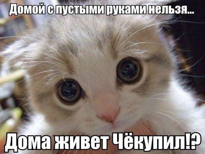 Забавные картинки