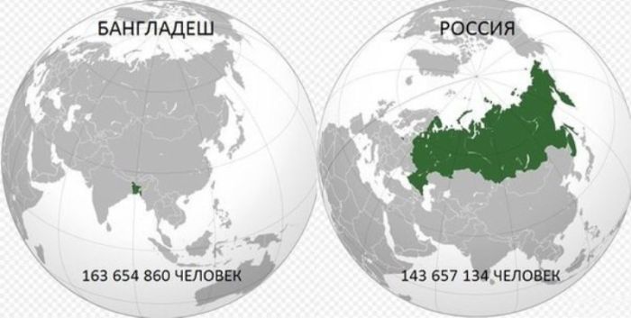 Забавные картинки