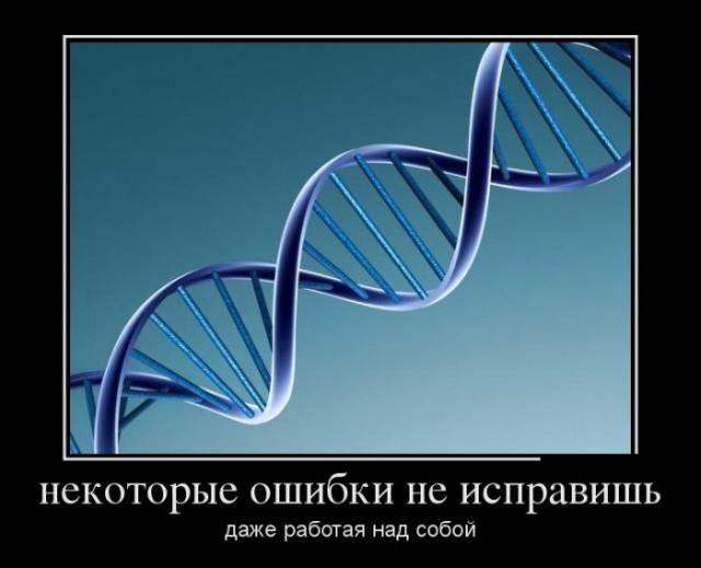 Демотиваторы (30 фото)
