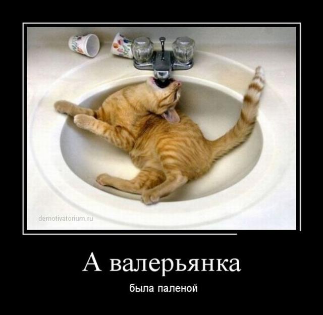 Демотиваторы (30 фото)