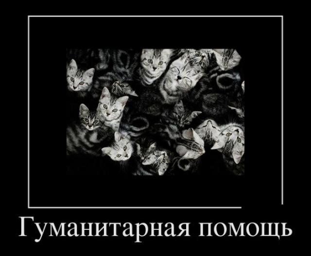 Демотиваторы (30 фото)