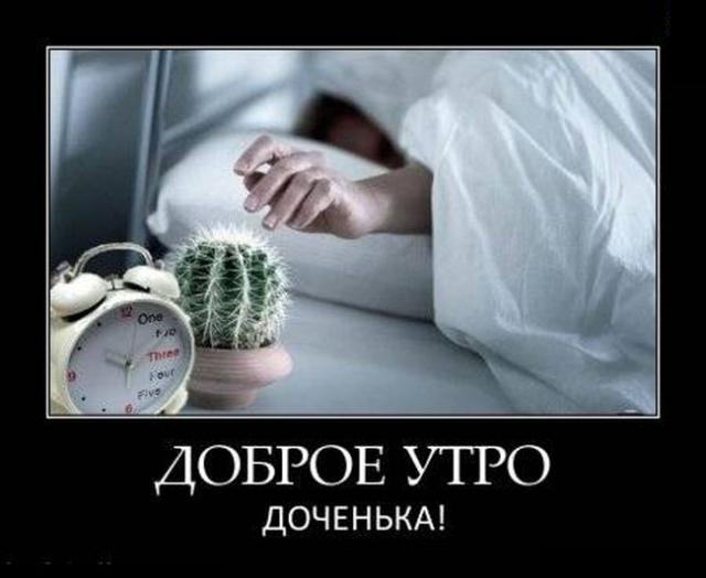 Демотиваторы (30 фото)