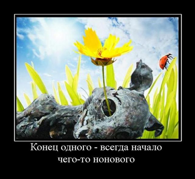 Демотиваторы (30 фото)