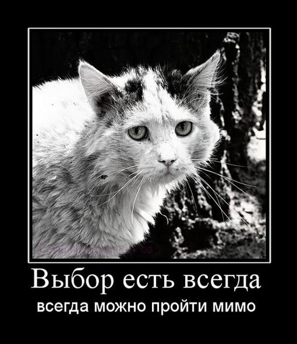 Демотиваторы (30 фото)
