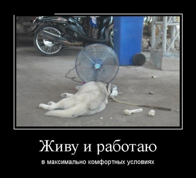 Демотиваторы (30 фото)