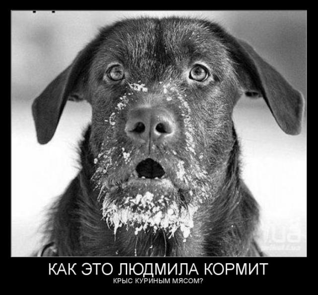 Демотиваторы (30 фото)