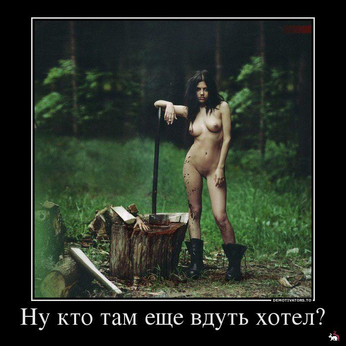 Кваторы