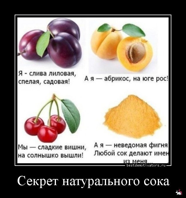 Кваторы