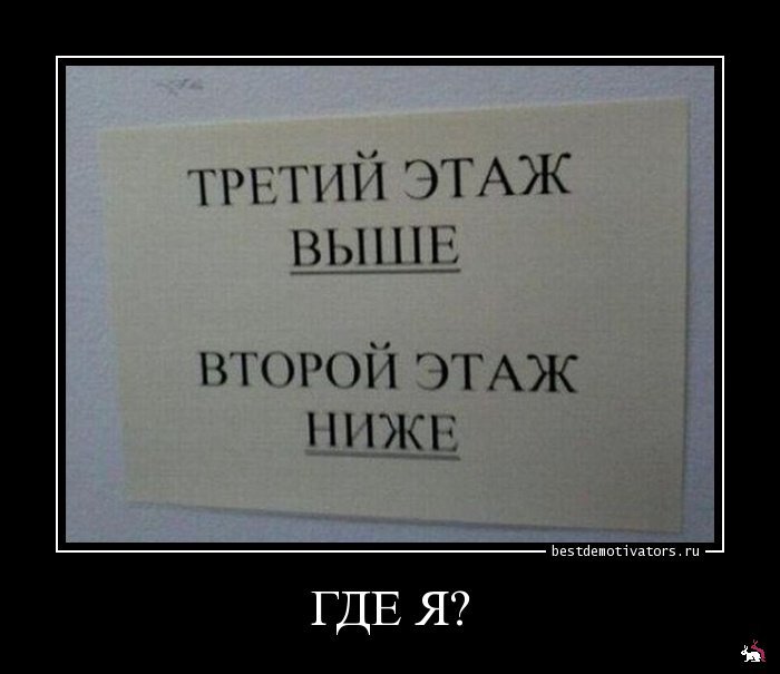 Кваторы