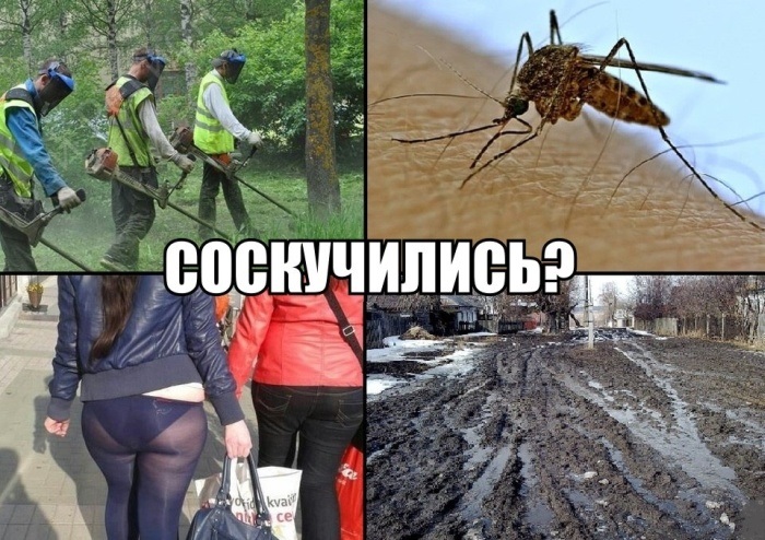 Забавные картинки