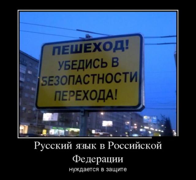 Демотиваторы (30 фото)