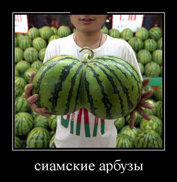Демотиваторы (30 фото)