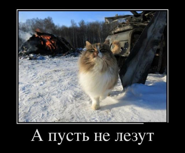 Демотиваторы (30 фото)