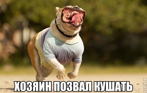 Прикольные картинки