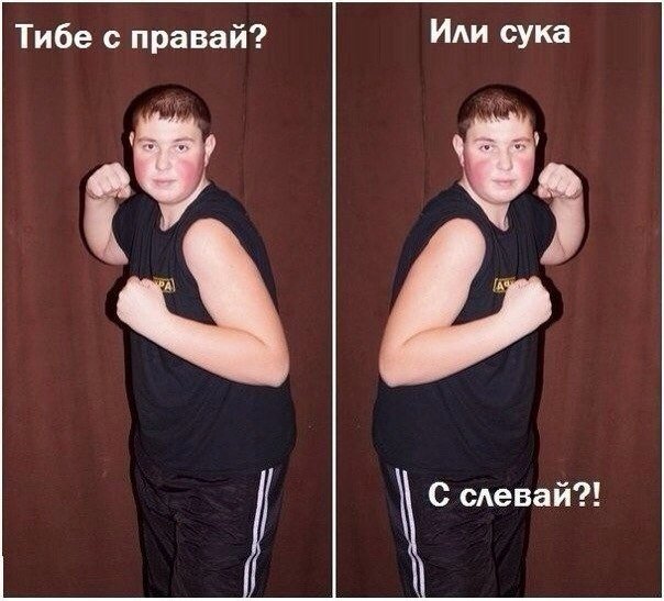 Прикольные картинки