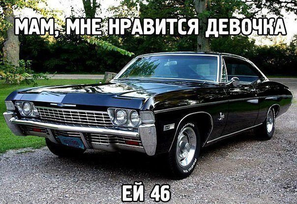 Прикольные картинки