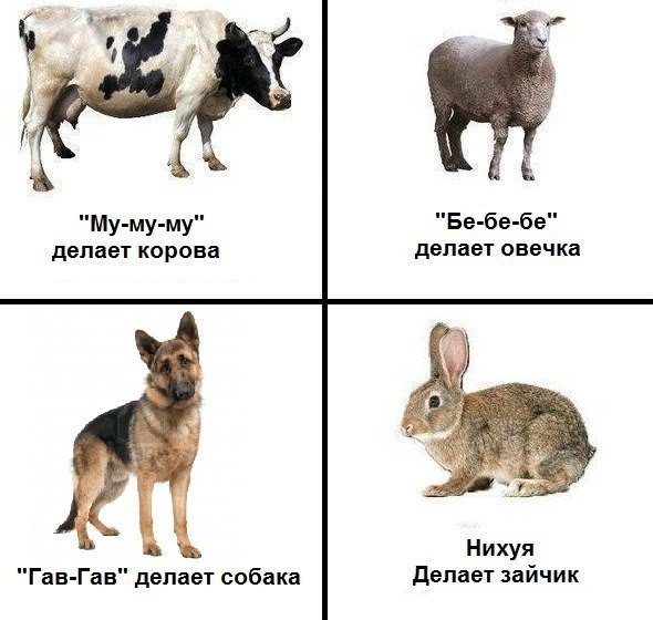 Прикольные картинки