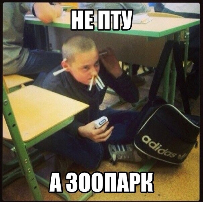 Забавные картинки