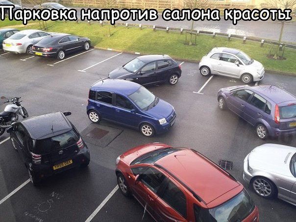 Забавные картинки