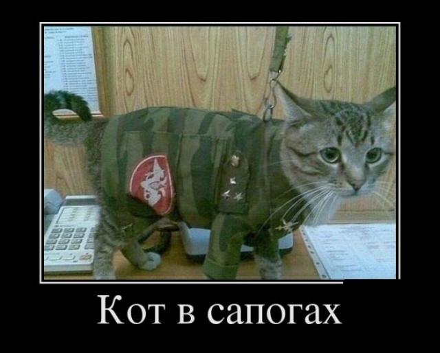 Демотиваторы (30 фото)