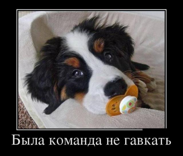 Демотиваторы (30 фото)
