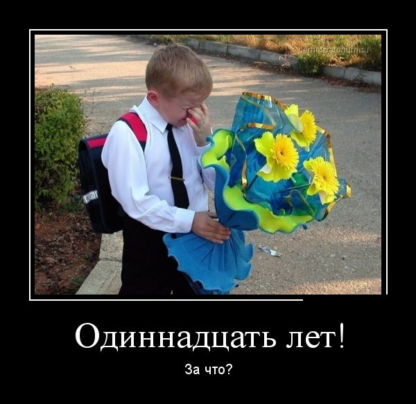 Демотиваторы (30 фото)