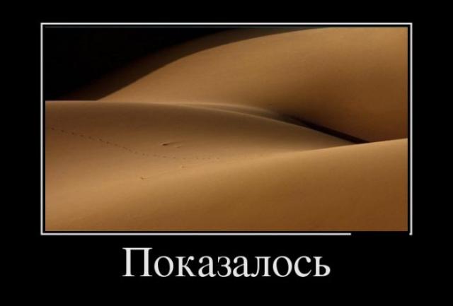 Демотиваторы (30 фото)