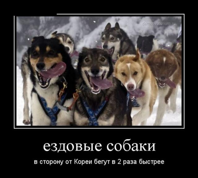 Демотиваторы (30 фото)