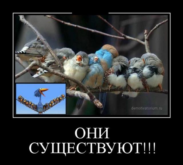 Демотиваторы (30 фото)