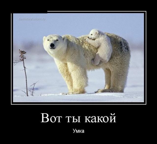Демотиваторы (30 фото)