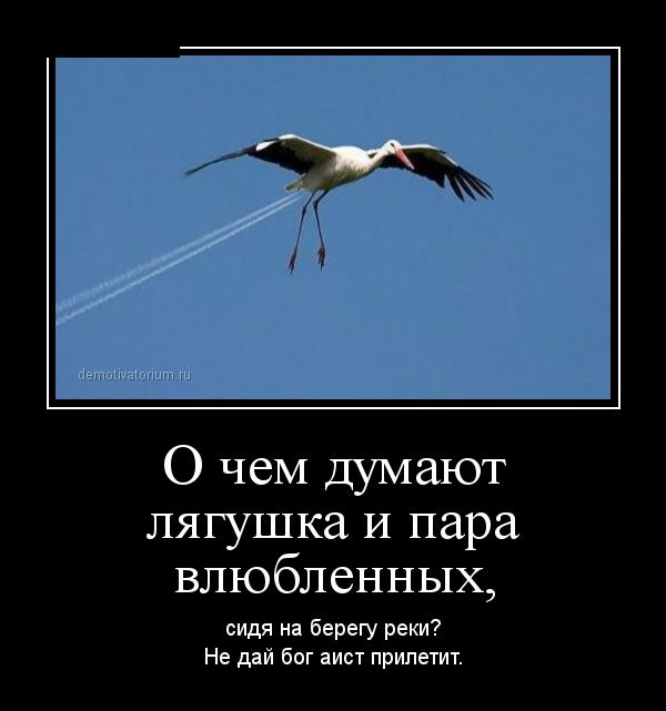 Демотиваторы (30 фото)