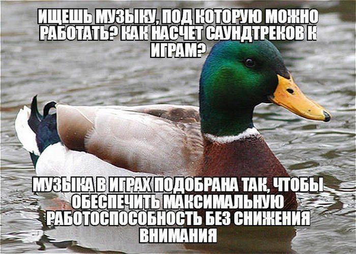 Забавные картинки