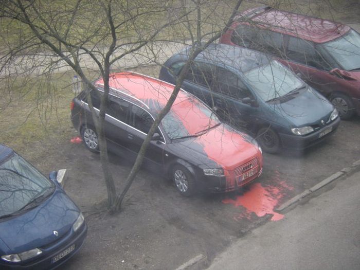Забавные картинки
